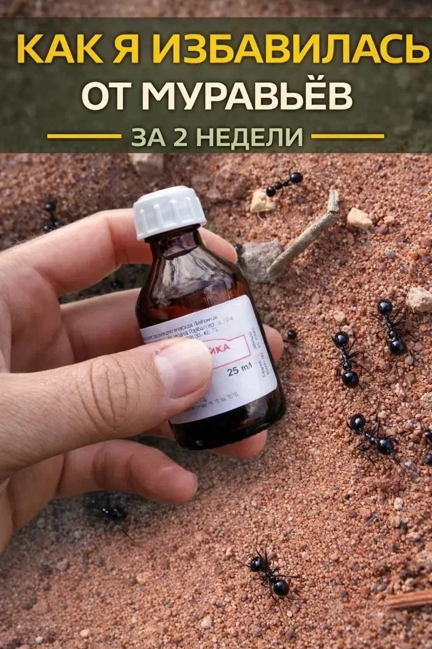 ИЗБАВЛЯЕМСЯ ОТ МУРАВЬЁВ ЗА 2 НЕДЕЛИ  Девочки, делюсь способом, который реально спас мой участок! Мур