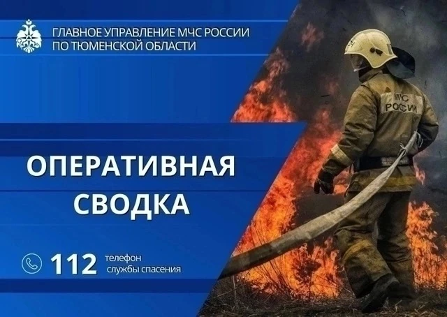 🔔 За минувшие сутки в Тюменской области:
