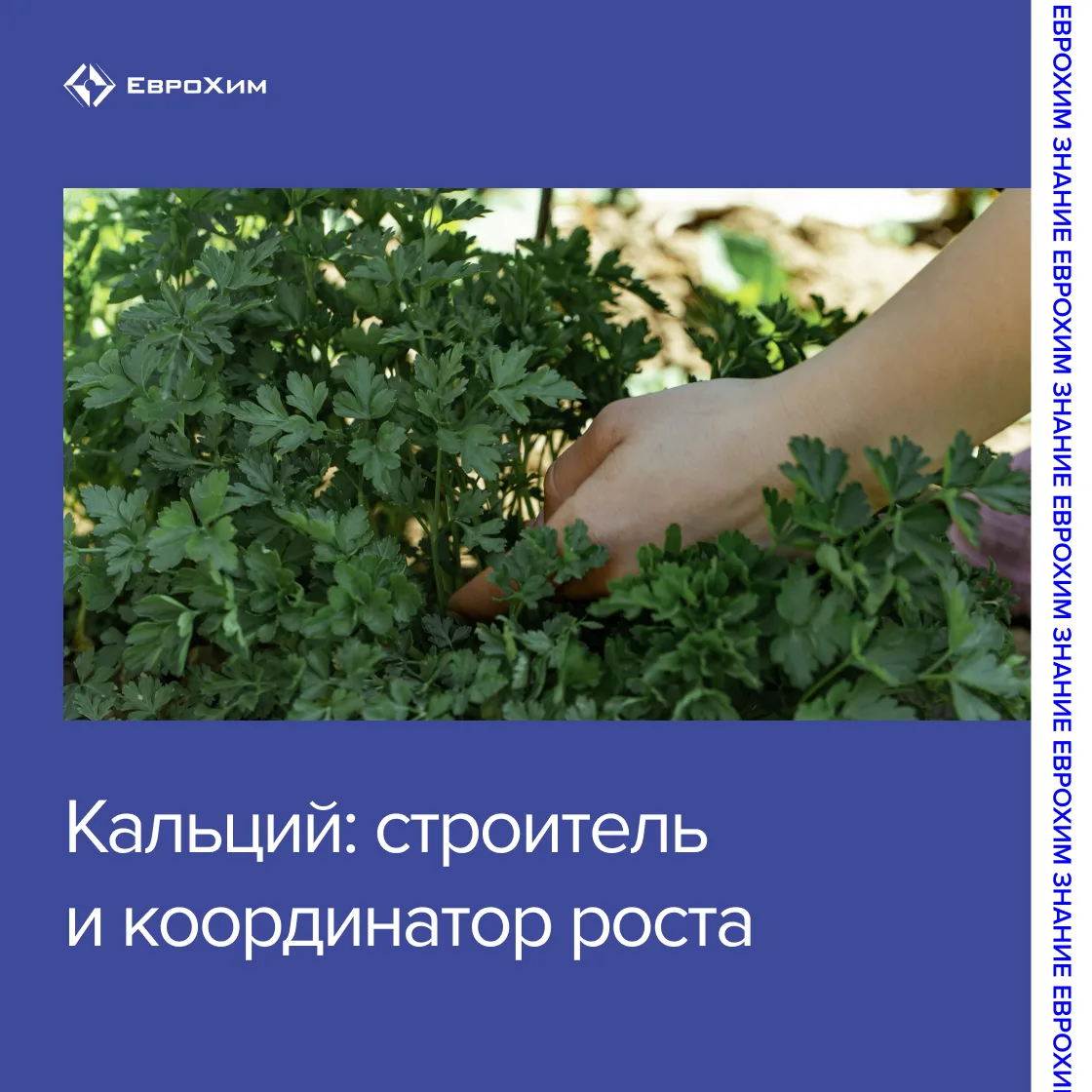 Изображение 1 к публикации «ЕвроХим»