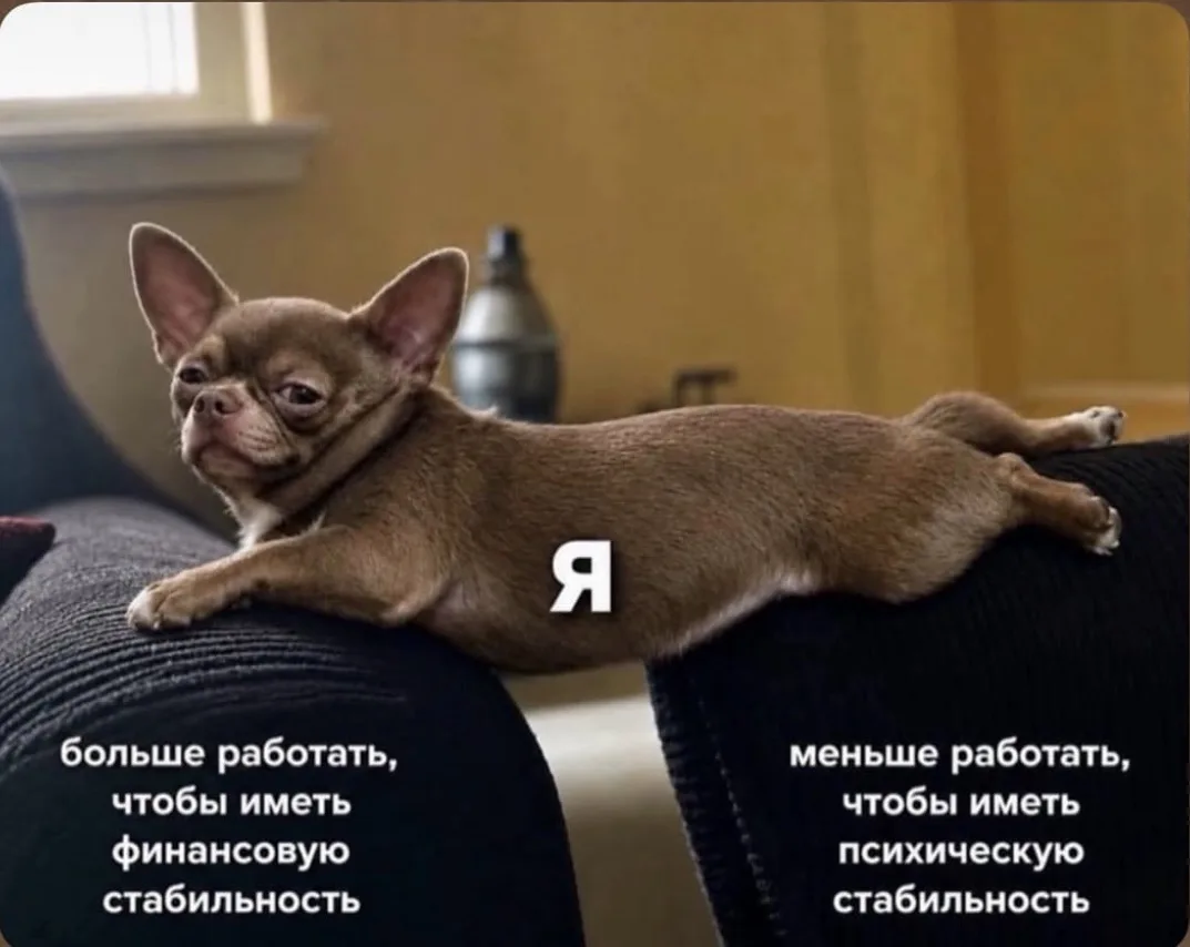 ДевАчки, вы в каком лагере? 🤣