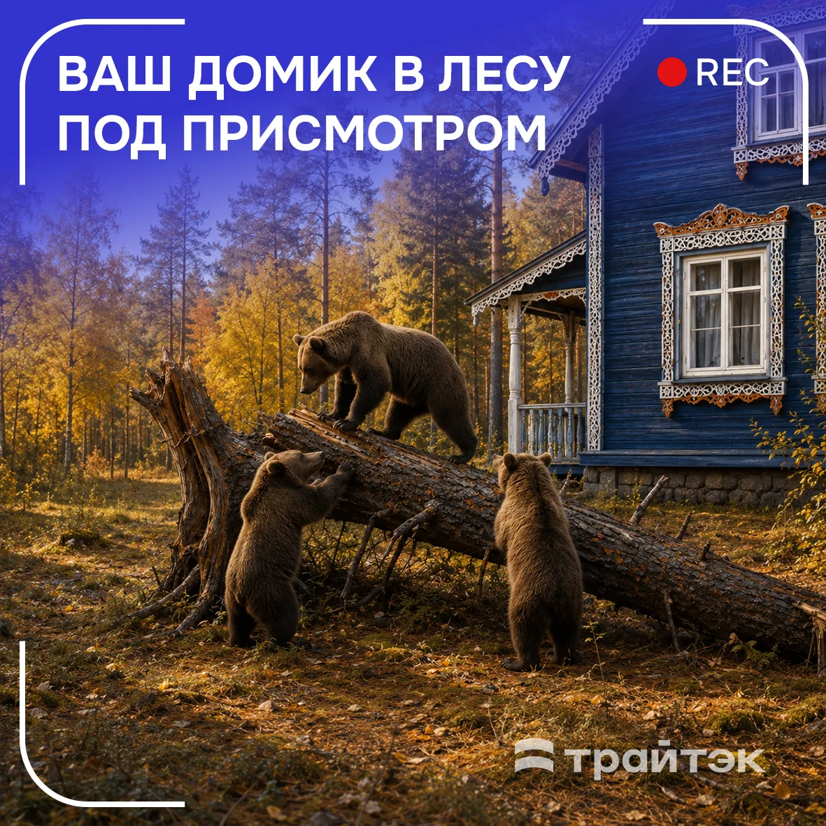 Наступает осень, а значит — дачный сезон подходит к концу. 🍂