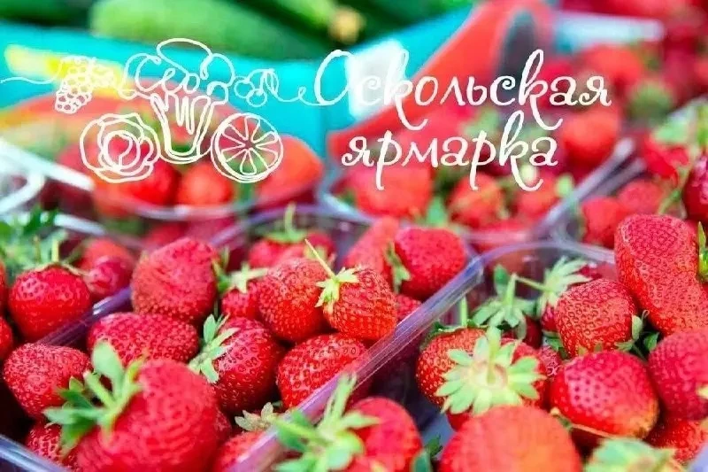 Традиционная фермерская ярмарка пройдет 14 июня с 09:00 до 15:00

📍 Парковка магазина «Стройландия»