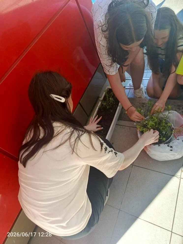 🌿 «Таинственный лес»: день добрых дел и весёлых игр на „Острове Дружбы“! 🌿18 июня в лагере «Остров