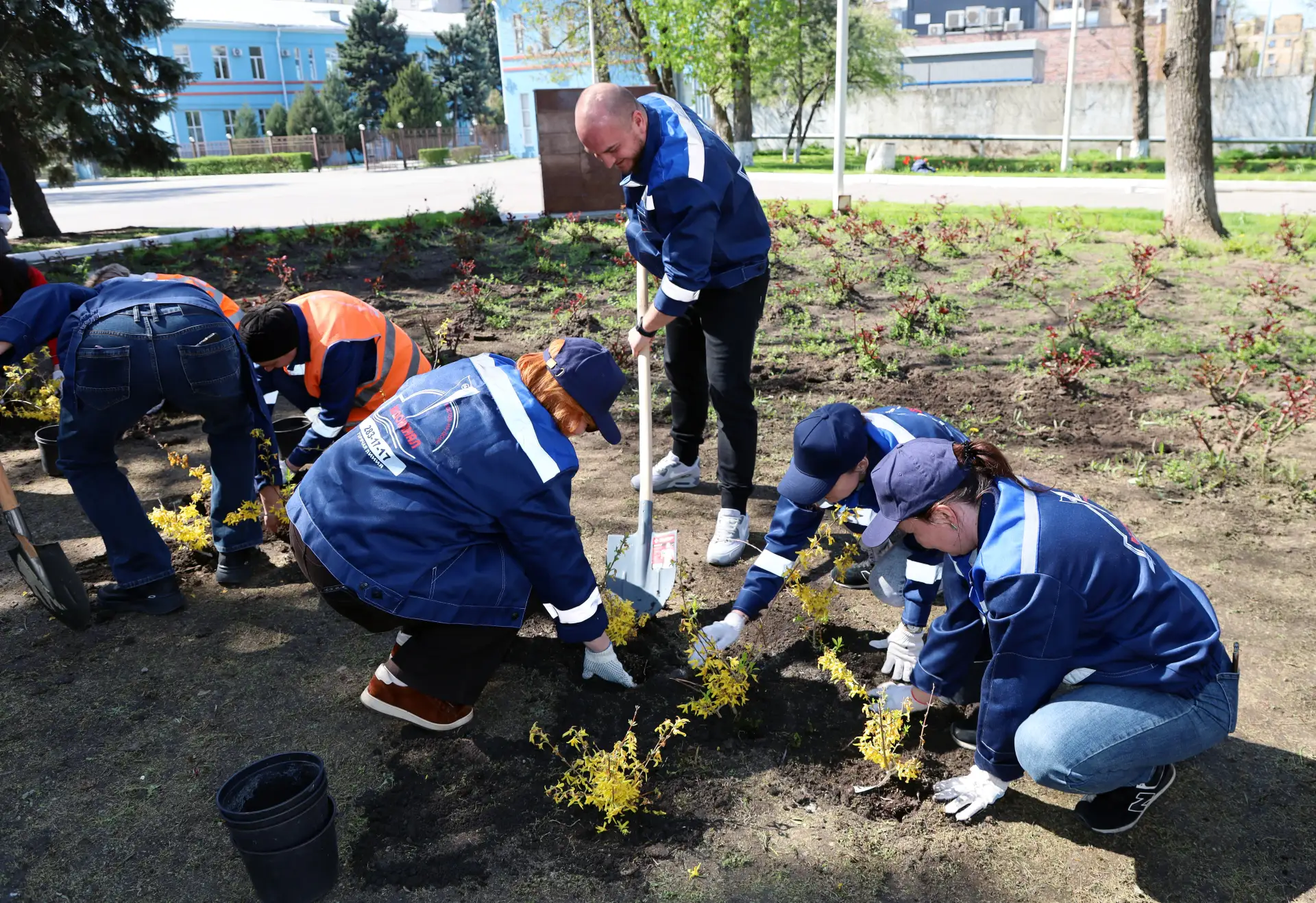Золотая аллея славы: как Ростовводоканал встретил День древонасаждения 🌼🌱  Верный многолетней доброй