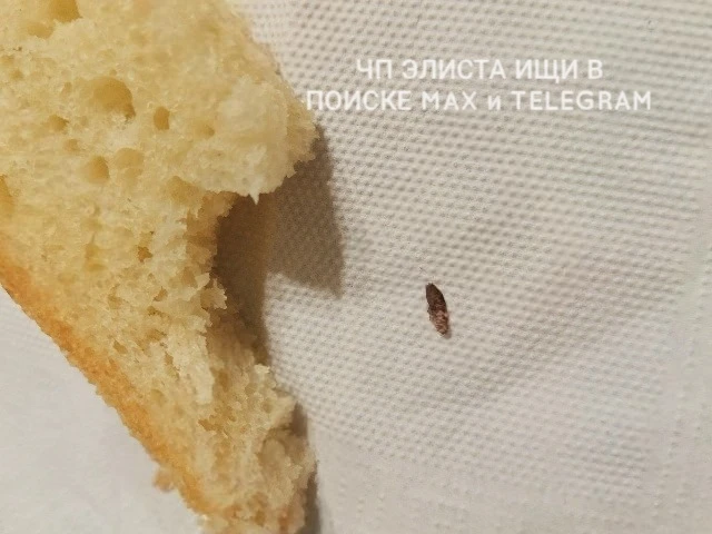 ▶️От подписчика : Доброго времени суток.