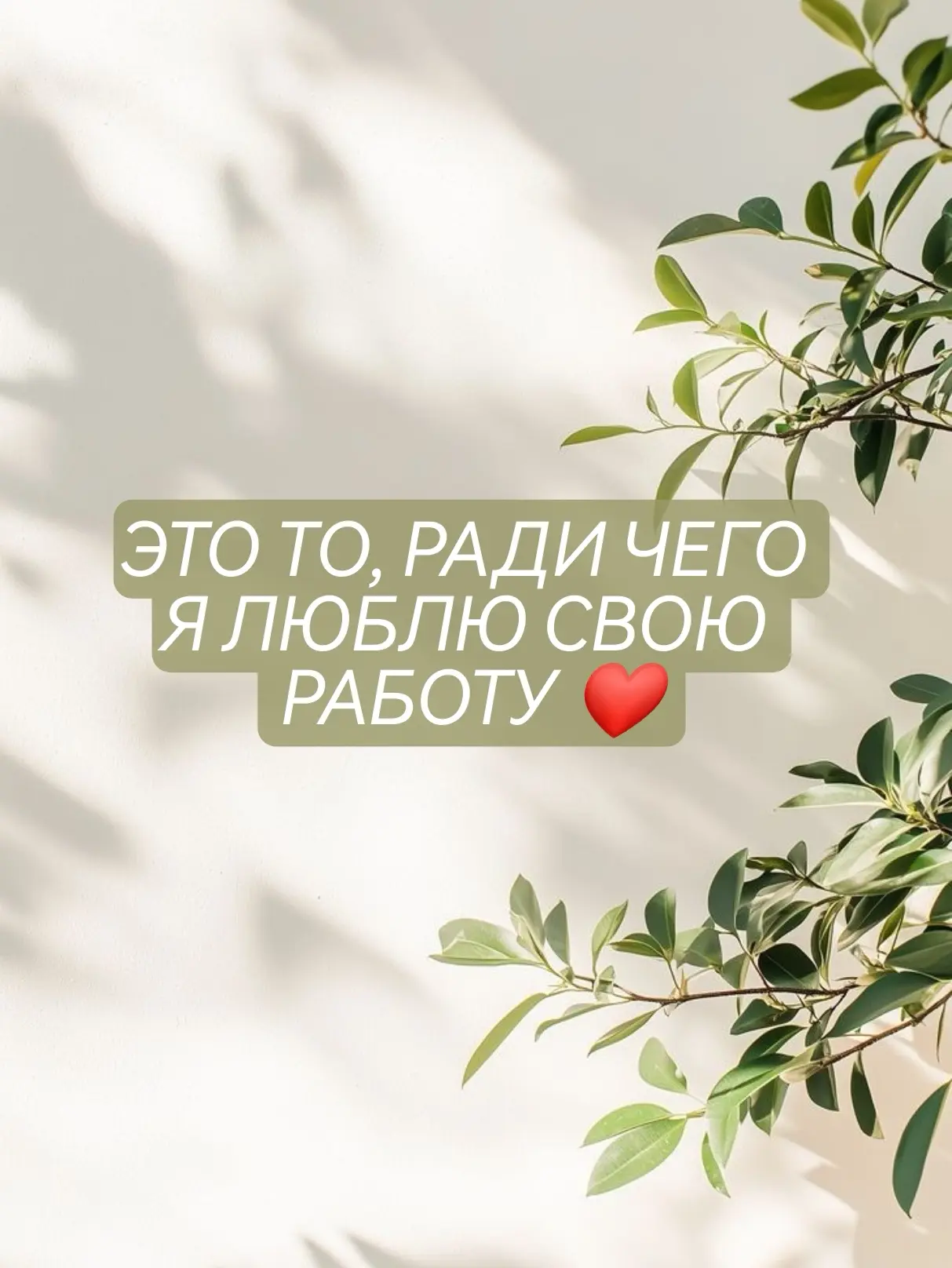 Друзья, когда приходит такой отзыв — у меня внутри всё трепещет. Потому что это не прос...