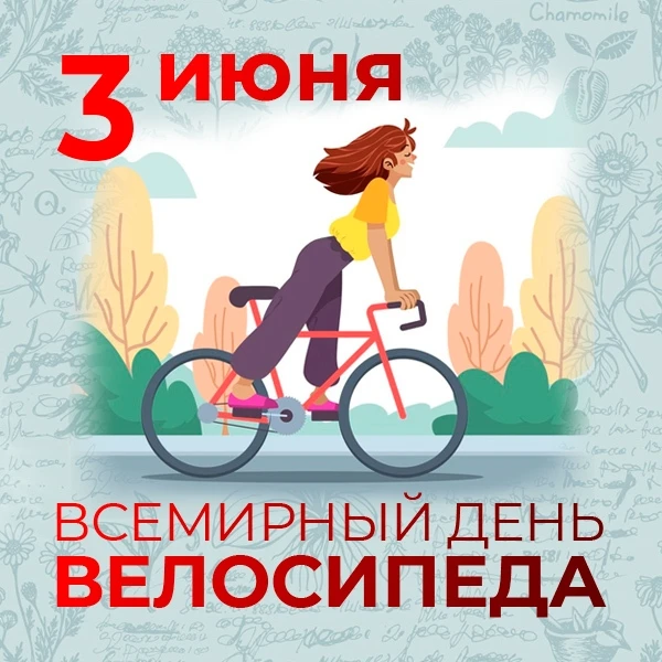Велосипед — незаменимое средство передвижения для каждого человека, ведущего здоровый образ жизни. Д