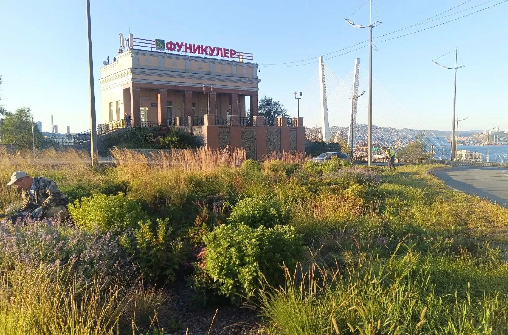 🍁Осень вступает в свои права, а мы продолжаем наводить порядок на зеленых зонах Владив...