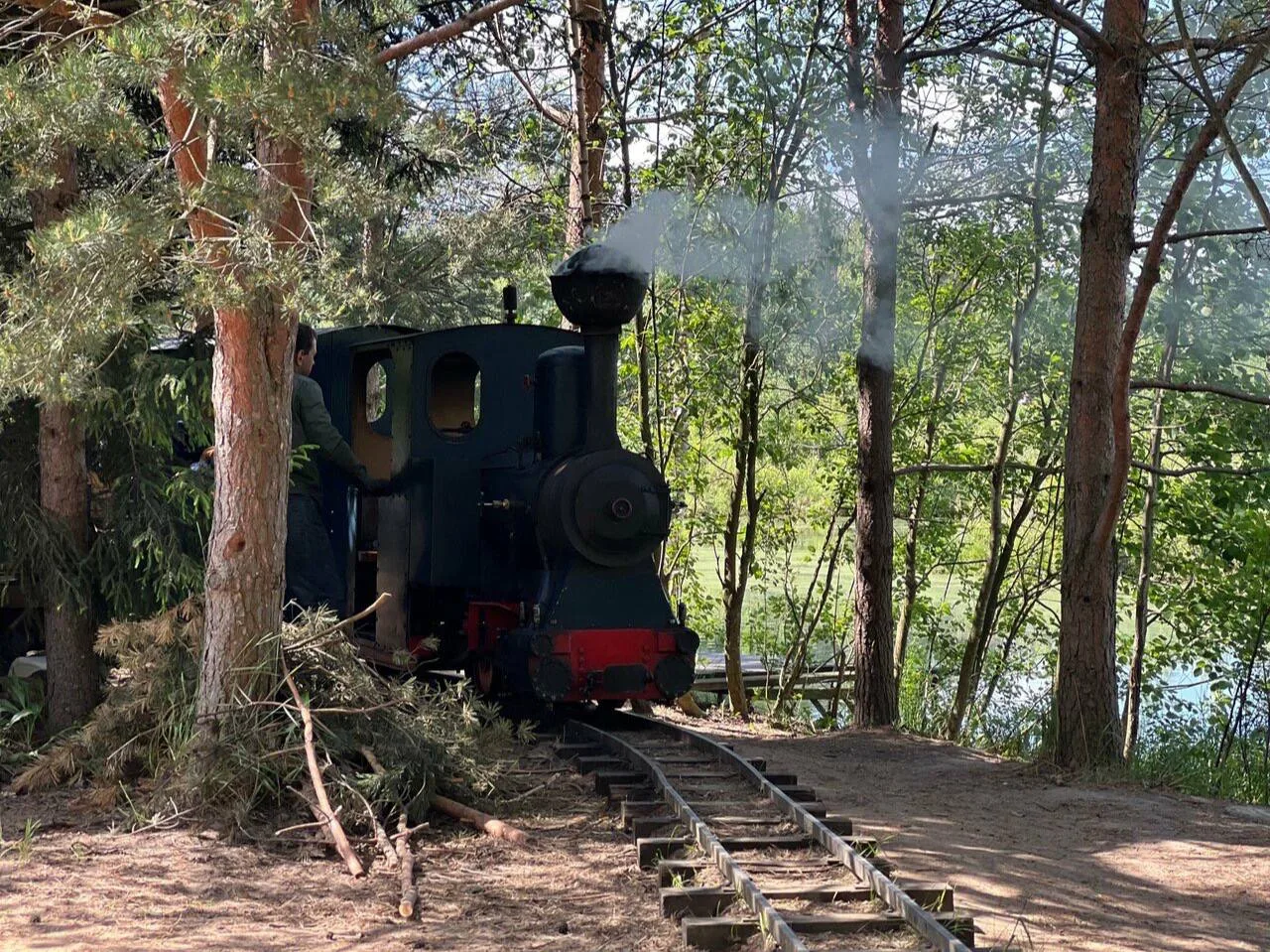 🚂 Самая необычная узкоколейка рядом с Петербургом