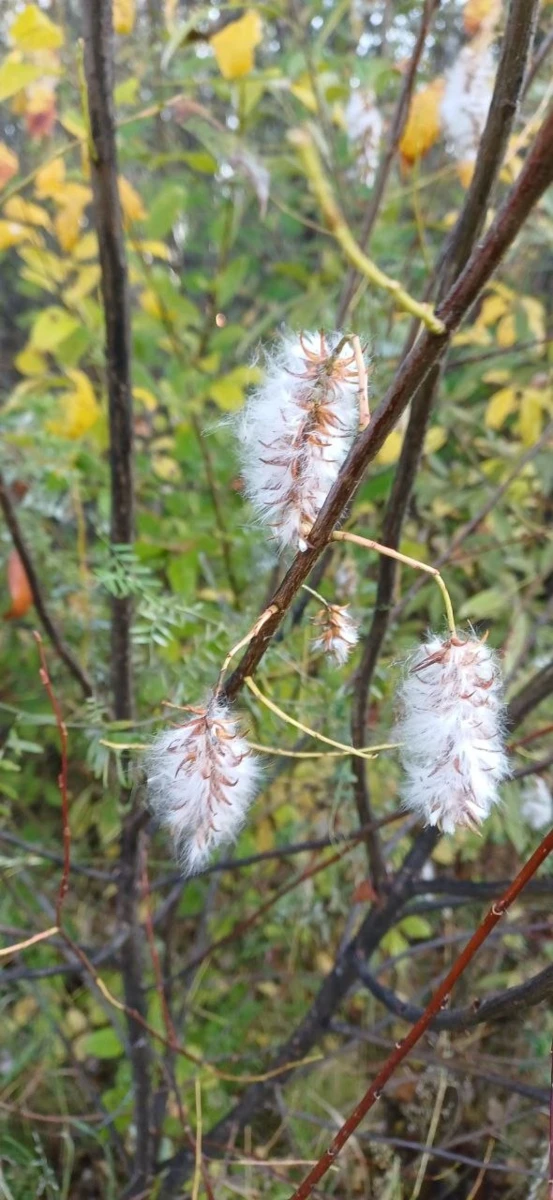 Красота рядом✨🌱