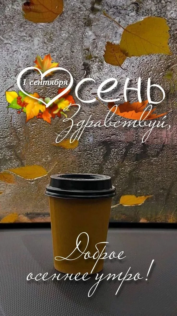 ☀️Хорошего дня!