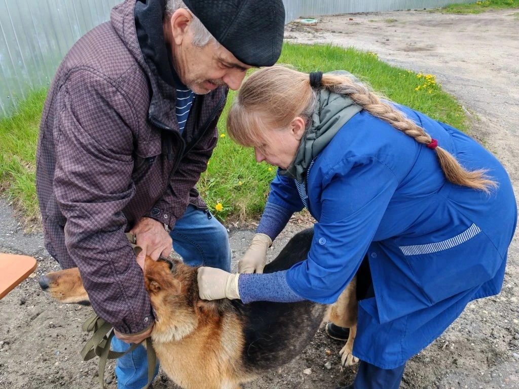 Бесплатная выездная вакцинация против бешенства💉 собак🐕 и кошек🐈 в поселке Березовая...
