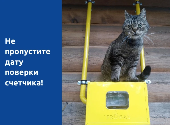 ❗️Хотите избежать огромных счетов за газ? Проверьте срок поверки счётчика!

Пропуск даты поверки газ