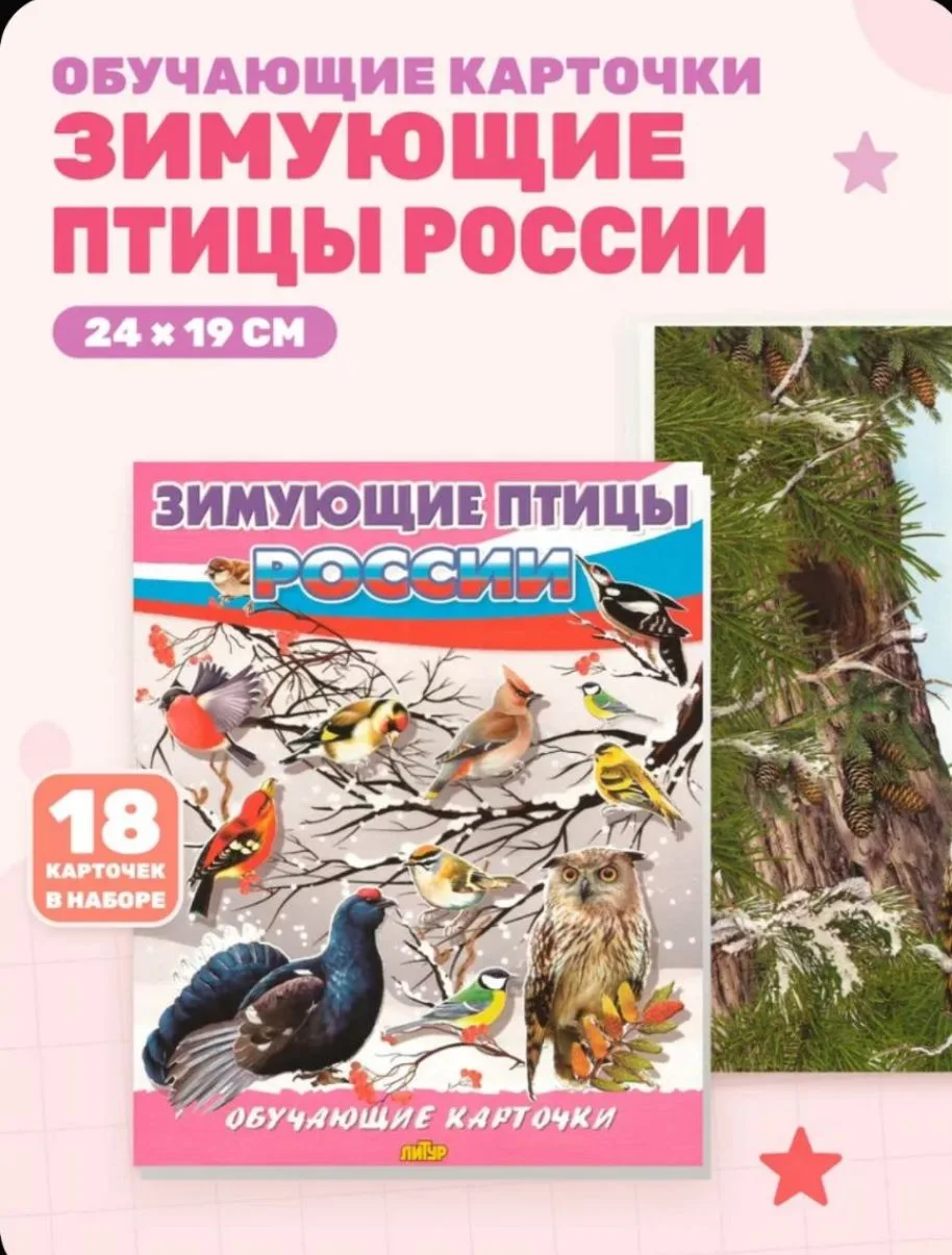 Карточки Зимующие птицы России