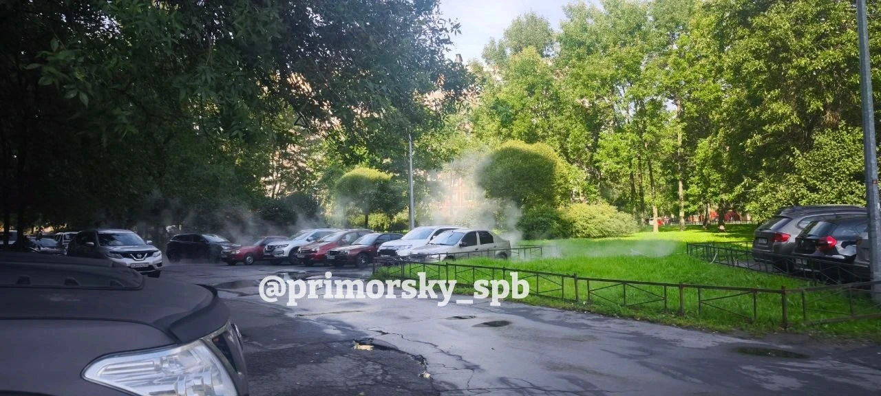 Трубу с горячей водой прорвало рядом с лицеем №40 на Комендантском проспекте