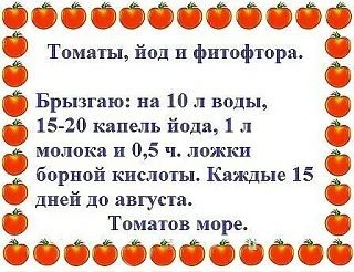 НАШИ КАНАЛЫ: