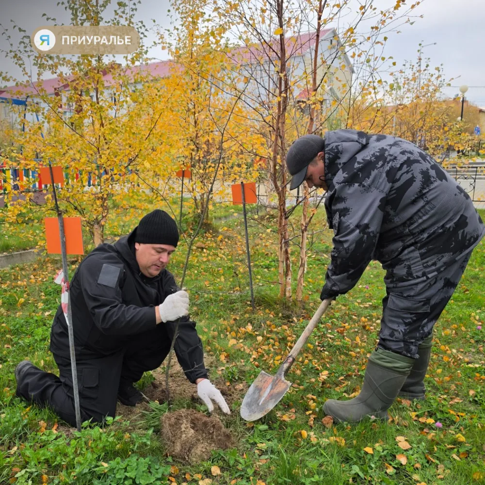 ☘Чей муниципалитет самый зелёный, выяснят на Ямале