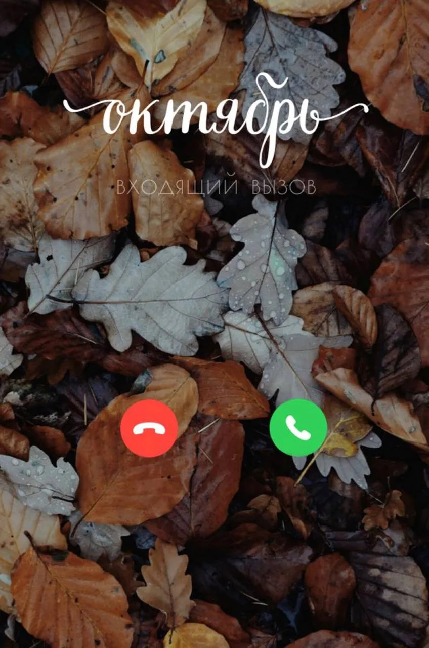 Здравствуй,октябрь 🤎🍂🍁