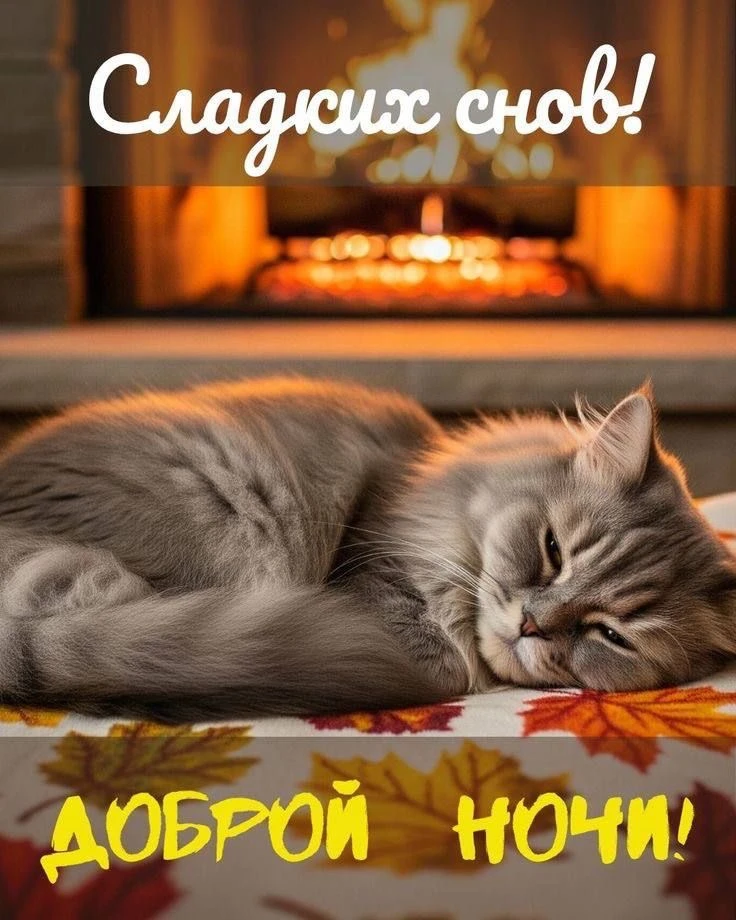 Красивые открытки❤️