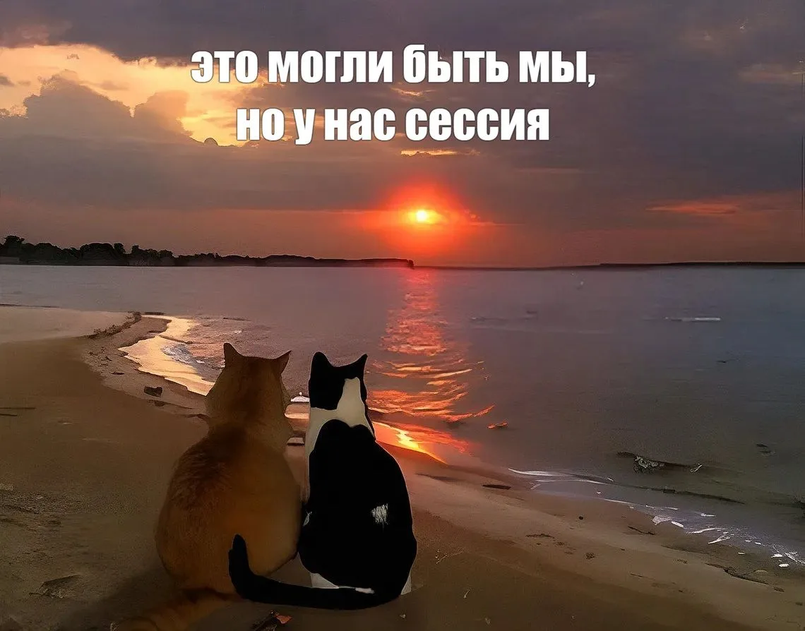 Дорогие друзья, желаем вам доброго понедельника и продуктивной недели ☀️
