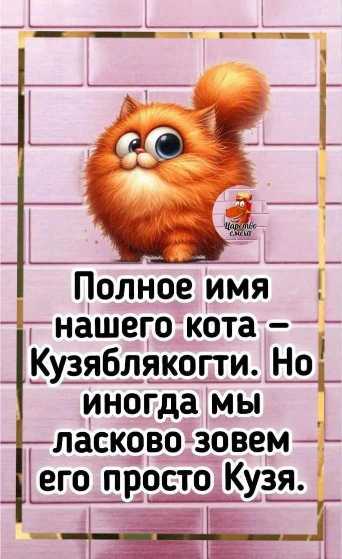 Живите с юмором!