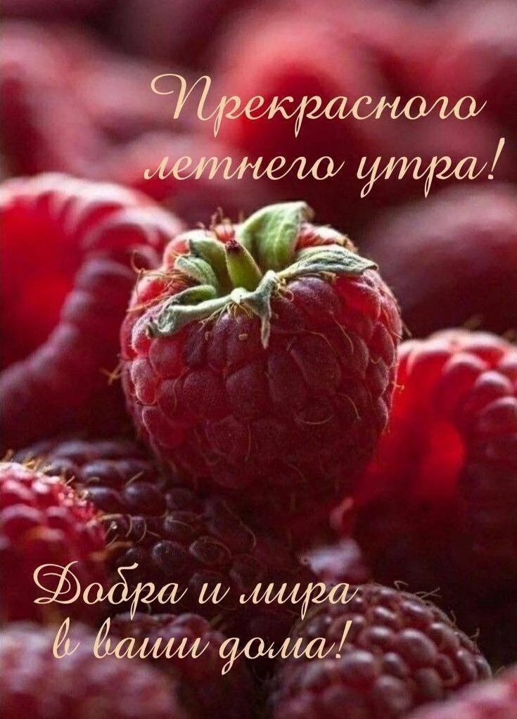 Женские открытки💝