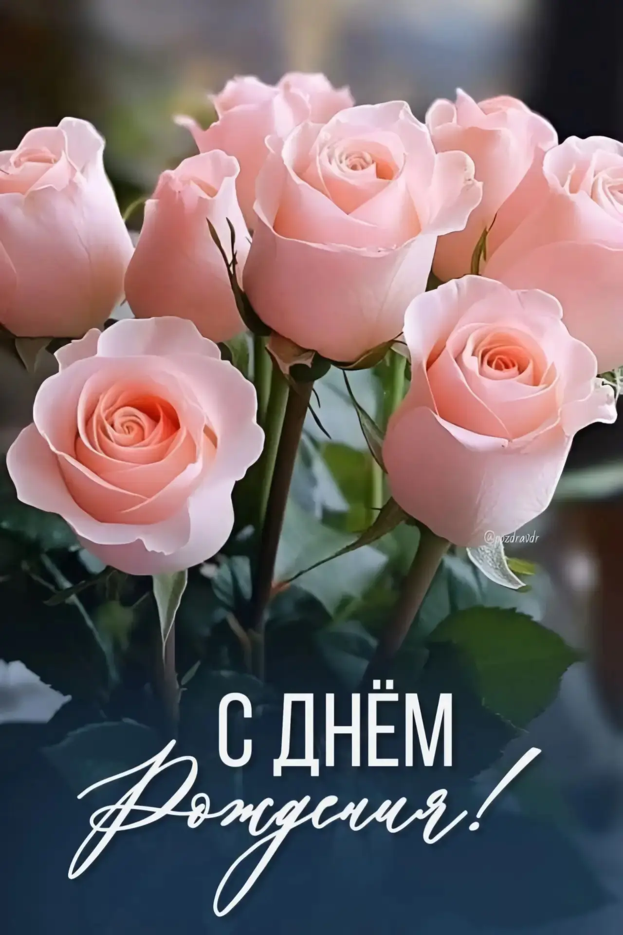 Добрые открытки