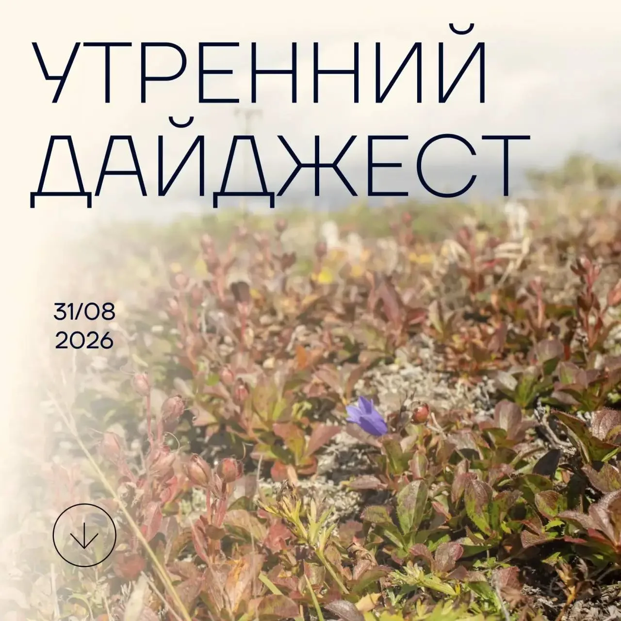 30.08.26 г.