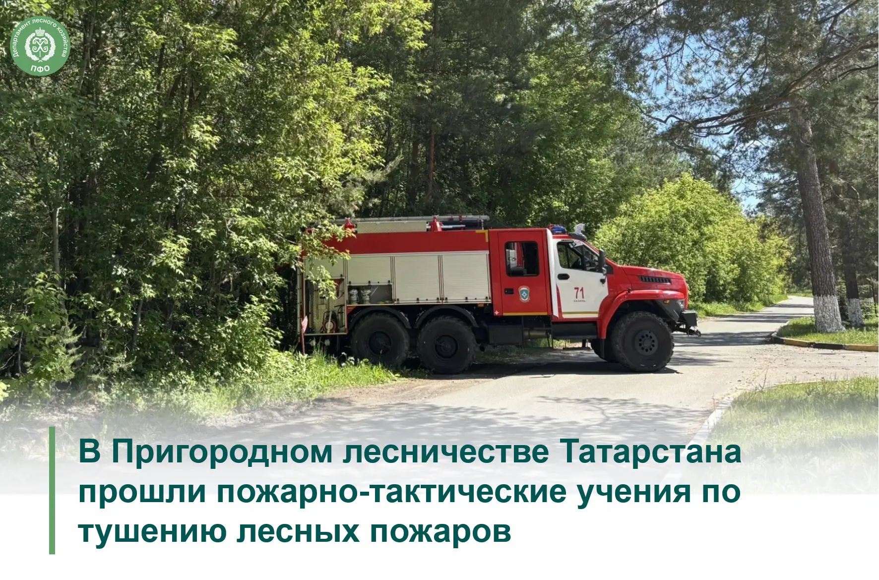 🚒 В Татарстане на территории Пригородного лесничества прошли пожарно-тактические учени...