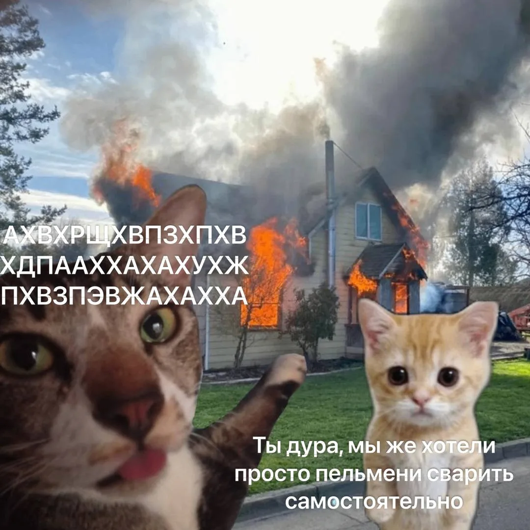 *мы?