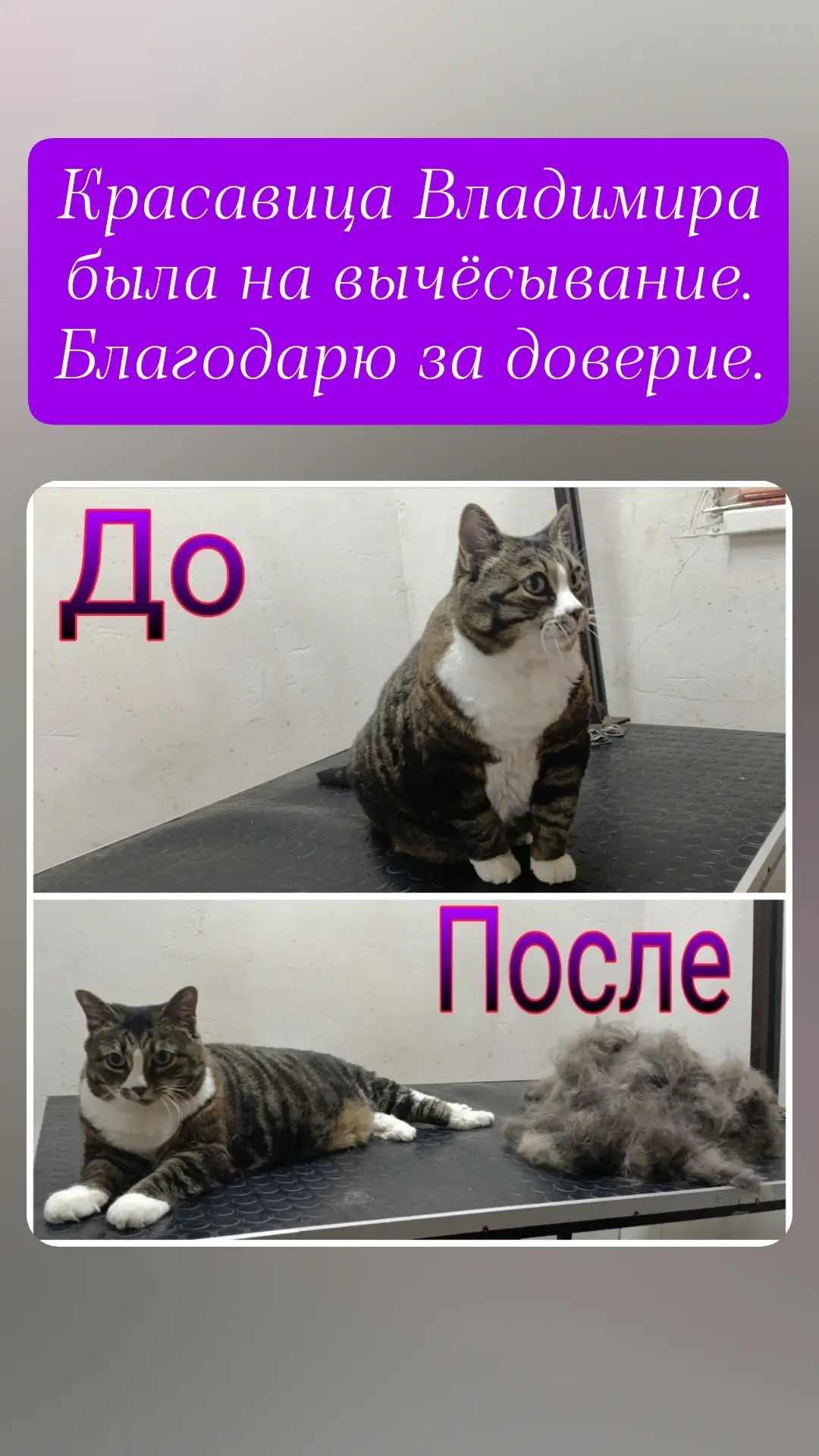 Девочка взросленькая,  красивая и довольная 😊😊😊