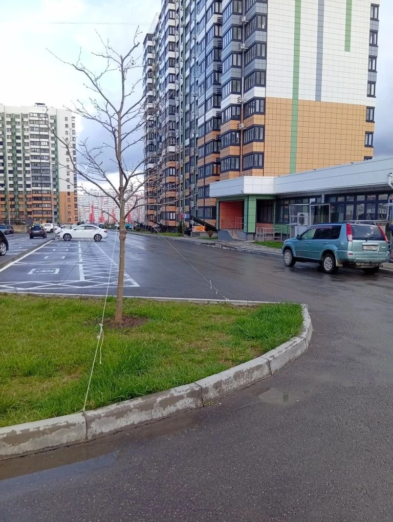 🌷 Уважаемые жители наших  домов по адресу : ул. Ленина,дом 243 и  б-р Босфорский 14 ✨  Напоминаем, ч