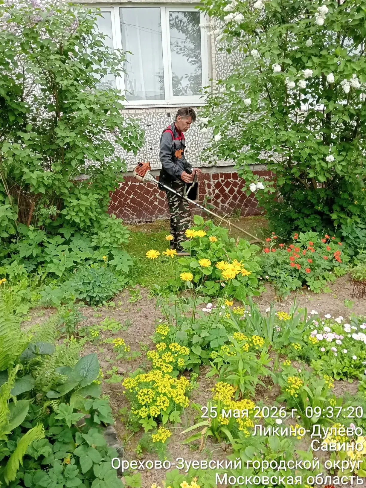 🌿✂️ Комбинат благоустройства продолжает работы по окосу травы во всех общественных зон...