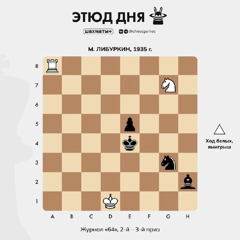 ♟ Этюд дня 🥇Уровень сложности: продвинутый 📈 Примерный рейтинг: 2200–2600 Lichess  Марк Савельевич Л