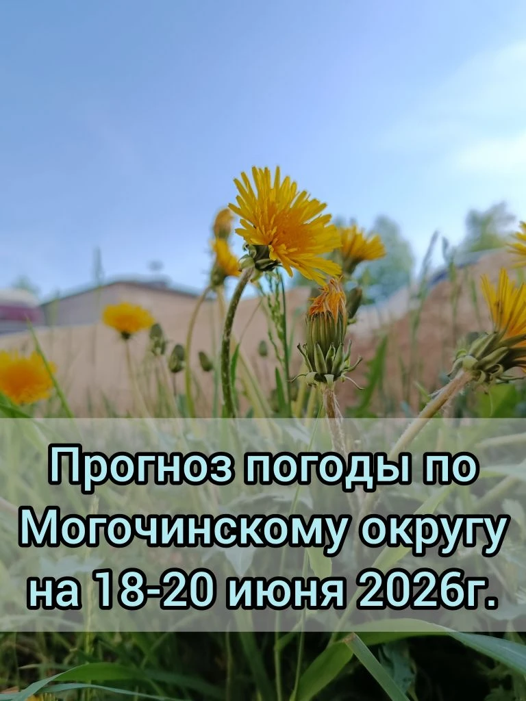 🌥️Прогноз погоды по Могочинскому округу на 18-20 июня 

📆18 июня небольшой 🌧️дождь. 🌬️Ветер севе