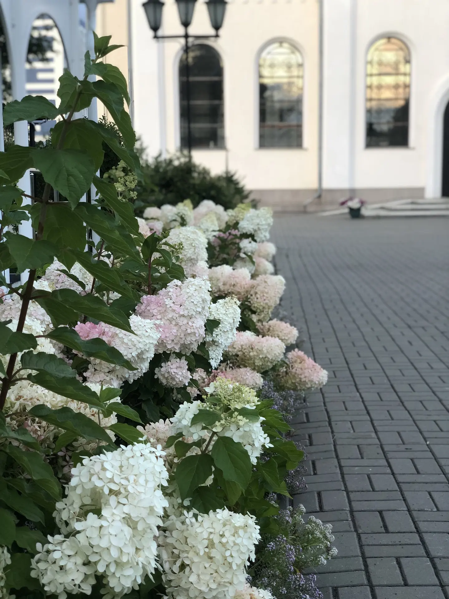 НЕДЕЛЯ 14-Я ПО ПЯТИДЕСЯТНИЦЕ 🕊️