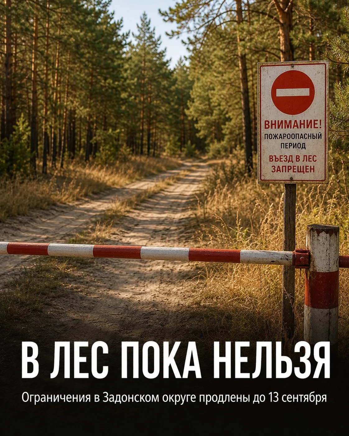 🔥 В Задонском округе ограничение на посещение лесов продлили до 13 сентября