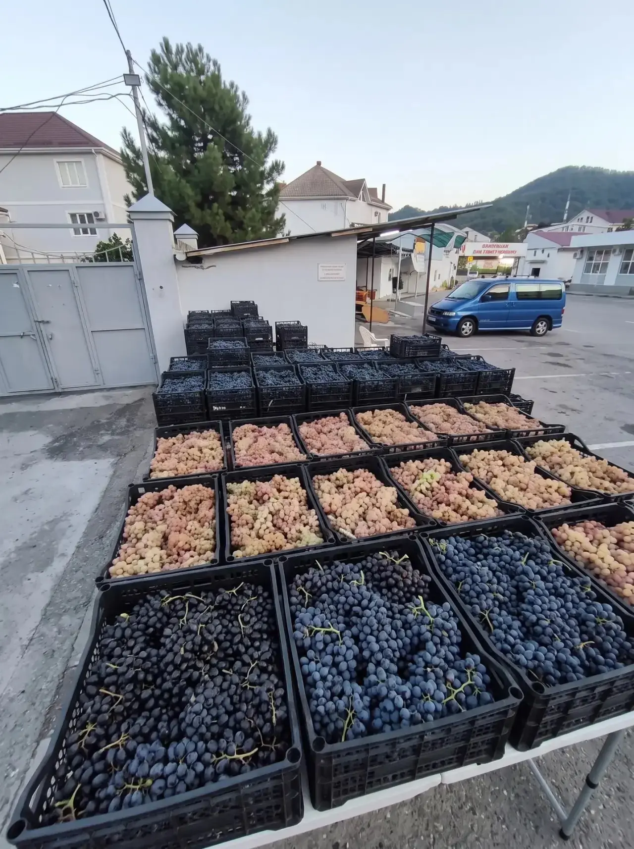 Лазаревское