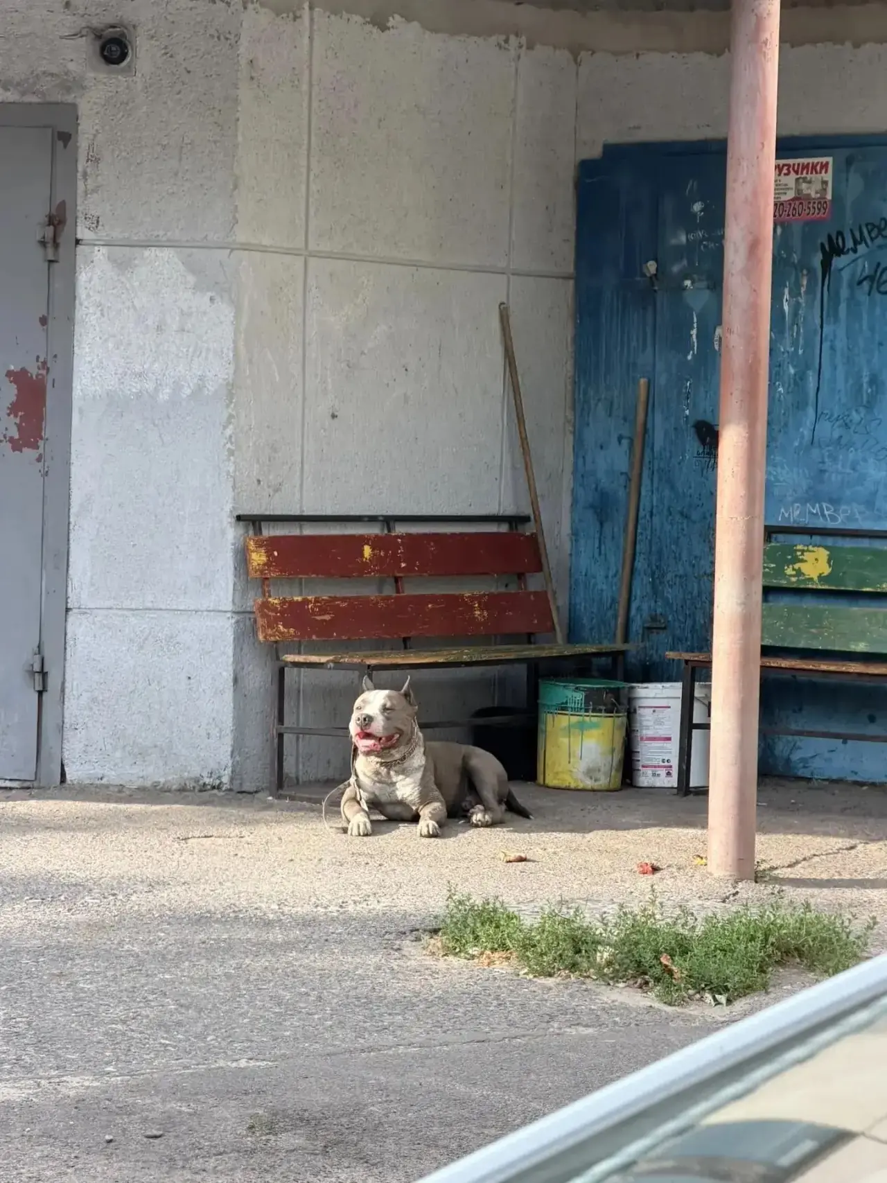 ✅В Курске полицейские помогли жителям многоэтажки попасть домой
 
🦠 Вход в подъезд дома 2/23 по ули