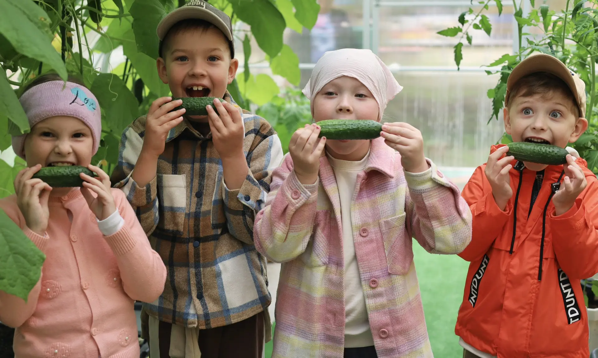 Зелёные островки жизни и радости 🌱