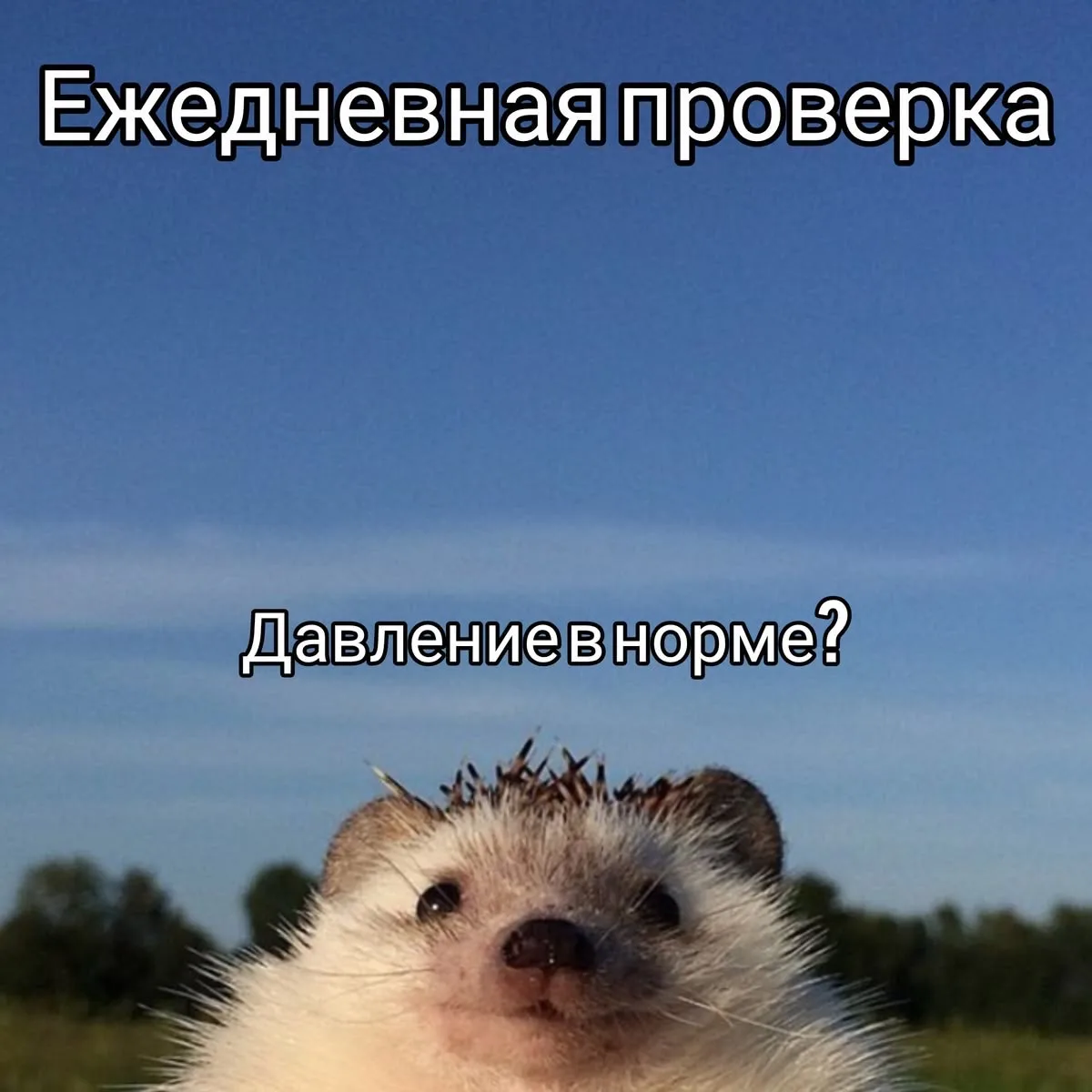Изображение 1 к публикации «Бьютифулмам»