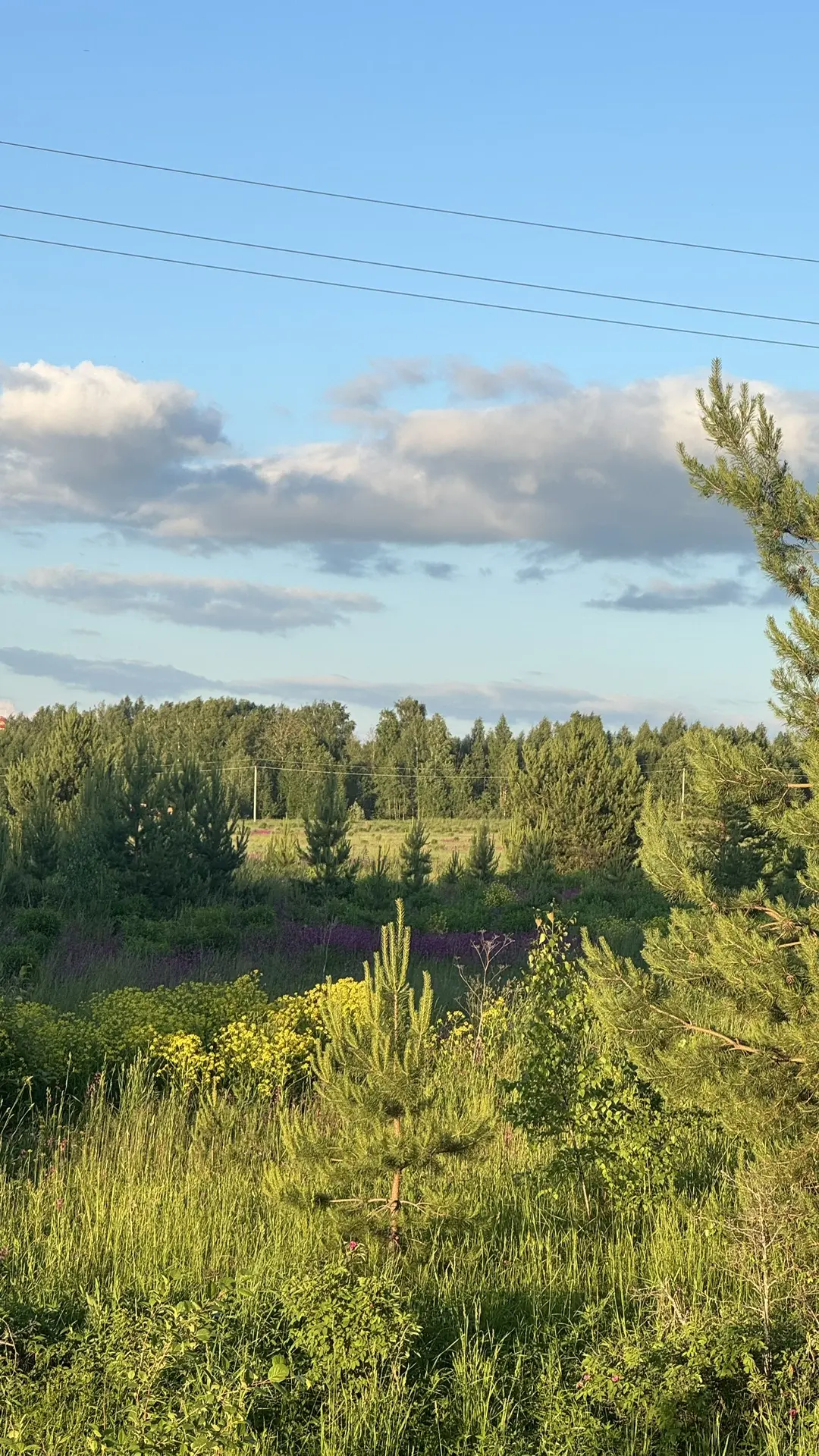 Мы сегодня катались в какой - то непередаваемой красоте