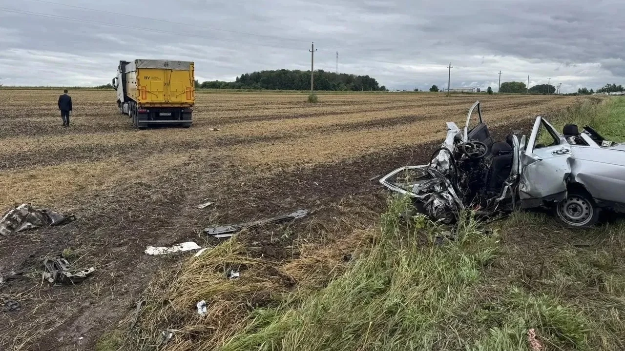 Сегодня в Орловской области три человека погибли в ДТП с грузовиком и легковушкой.

В районе 57 кило