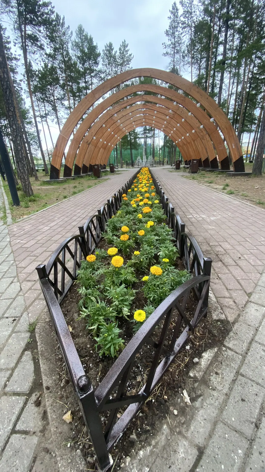 Красота в парке им. Чиряева