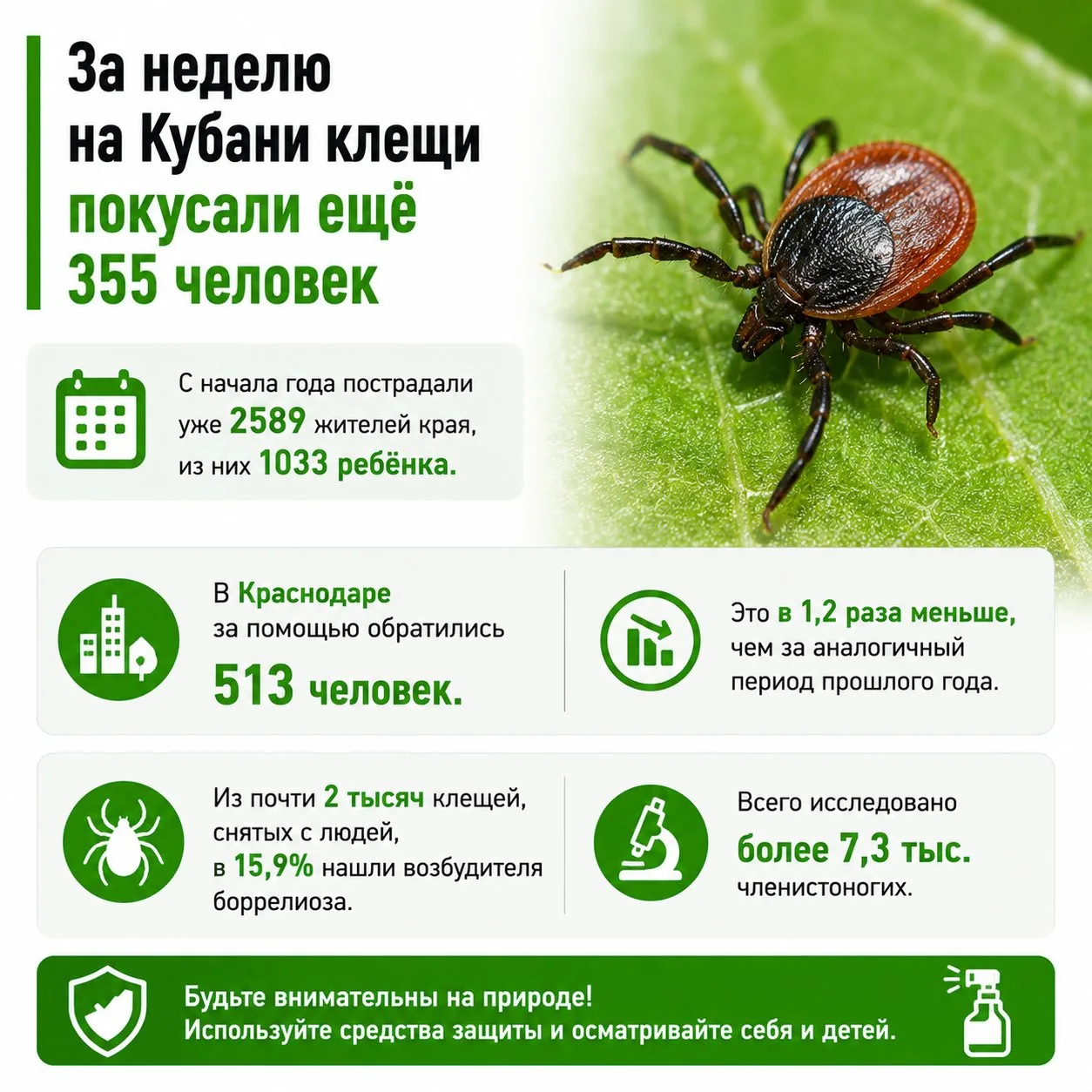 За неделю на Кубани клещи покусали ещё 355 человек

С начала года пострадали уже 2589 жителей края, 