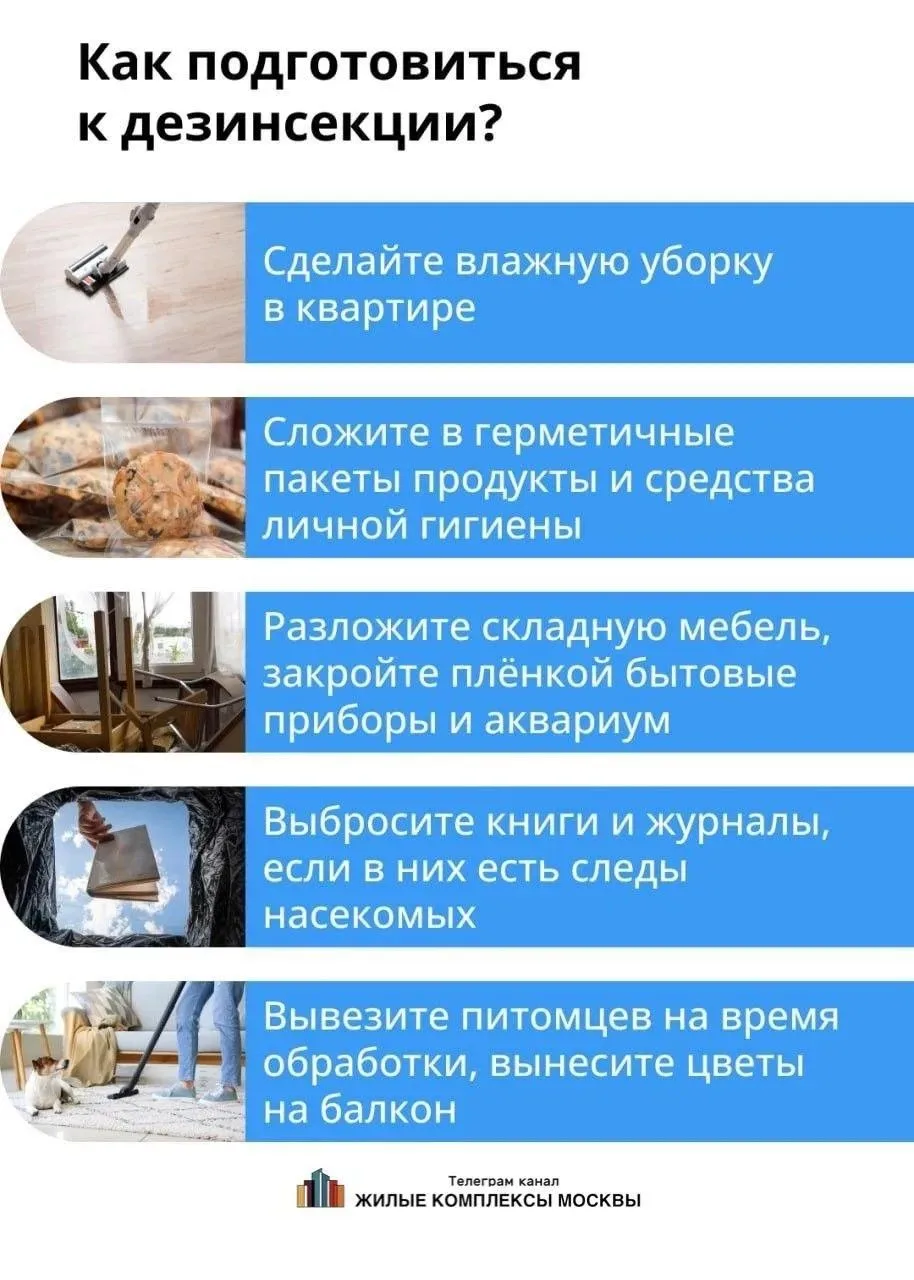 ☯️Про тараканов  ‼️Заметили таракана на лестничной клетке или в квартире?  ⚪️Насекомые в доме — сюрп