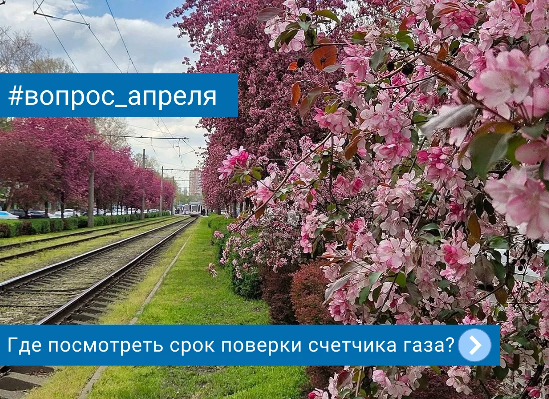 Итог месяца: самый частый вопрос апреля  Чаще всего в апреле нас спрашивали: Где найти срок поверки 
