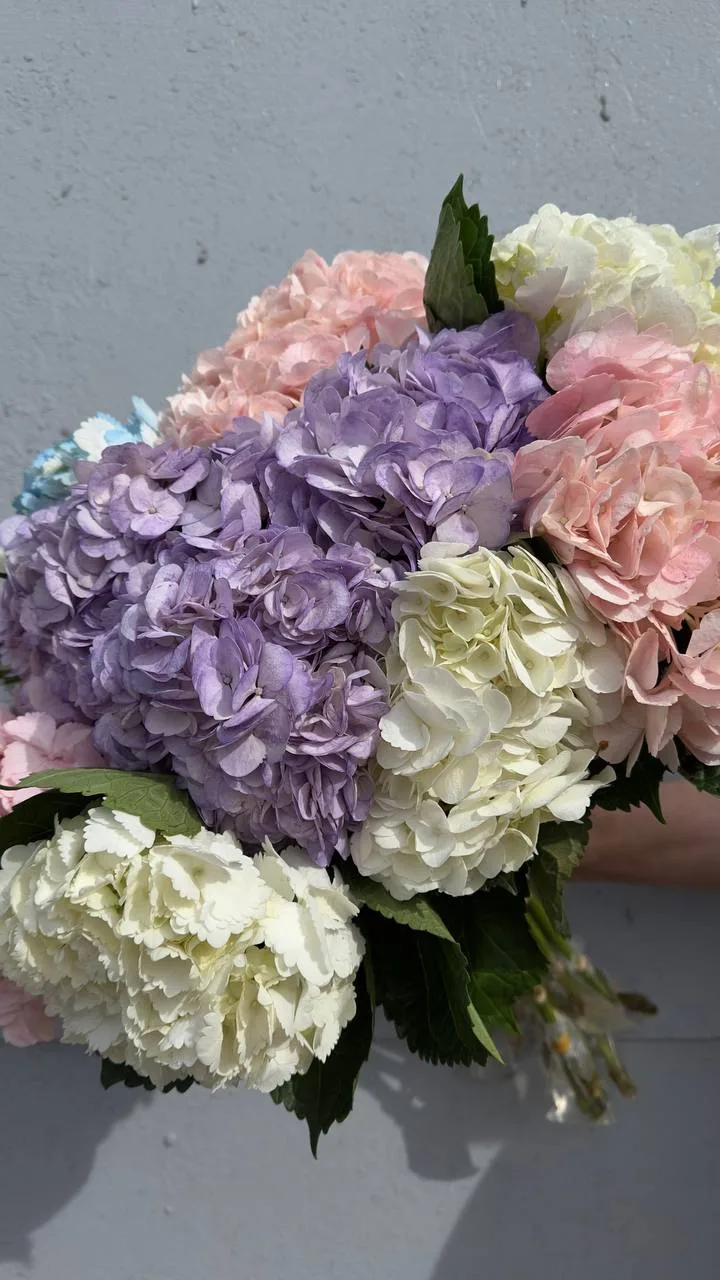 🌸 Свежее поступление