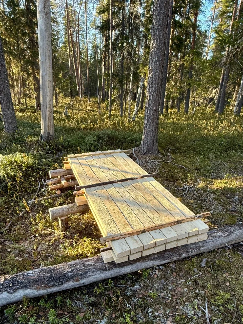Поход в Тайгу.