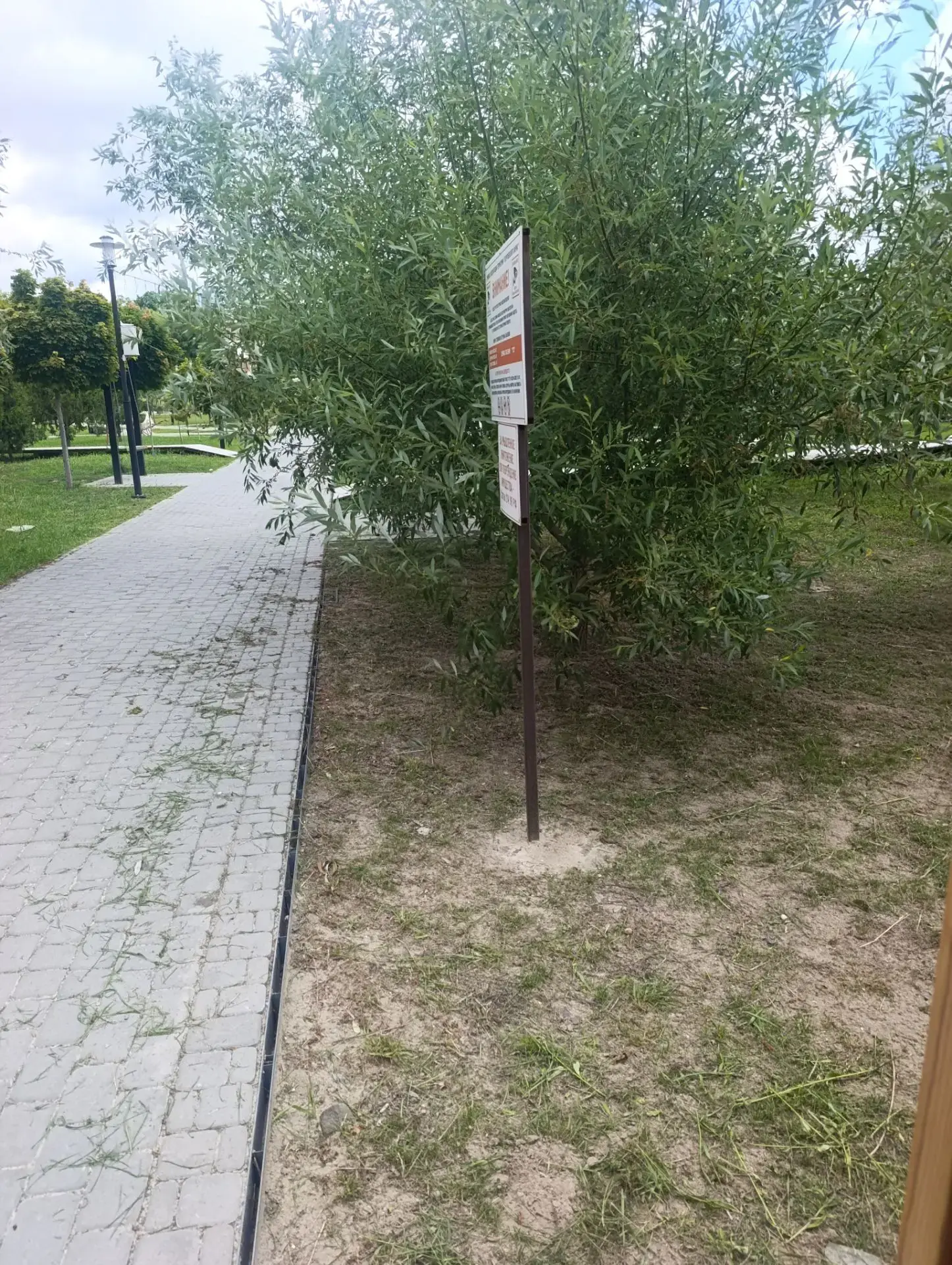 Обрезка кустов и деревьев в парках
